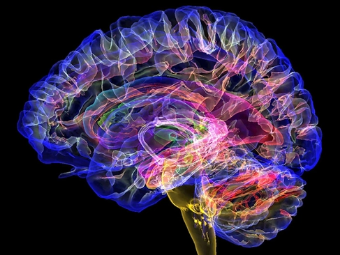 足交爆浆大脑植入物有助于严重头部损伤恢复
